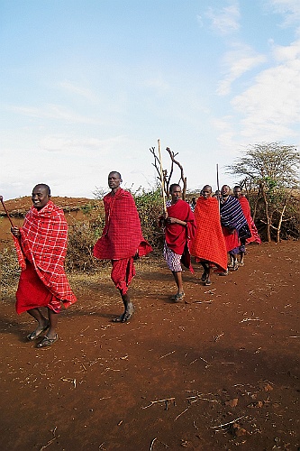 Kenia (60)